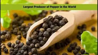 Mumma&rsquo;s Cooking Corner is live:which country is largest producer of pepper in the world?pls comment