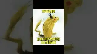 🤣🤣🤣 #music #viral #memes #funny #pokemon #animals #shorts #shortsvideo #shortsfeed #shortsviral