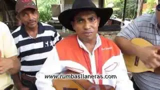 MUSICA MIRANDINA Jose Castillo En vivo