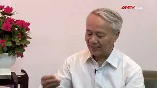 KINH HO&Agrave;NG  Những Mẻ B&uacute;n Tẩm H&oacute;a Chất Tinopal Cực Độc l AN TO&Agrave;N SỐNG   ANTV720p
