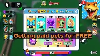 How to get SOCKS(secret pet) in Roblox [Dinosaur Evolution]