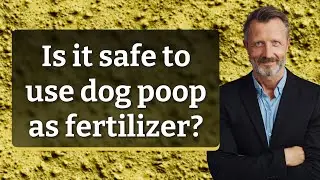Is it safe to use dog poop as fertilizer?