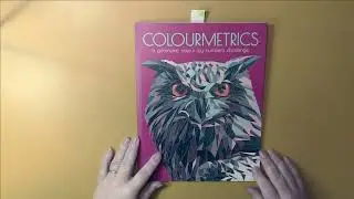 Flip & Review: Colourmetrics: A Geometric Color by Number  (Adult Coloring)