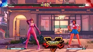 Street Fighter V AE Sakura vs Sakura PC Mod