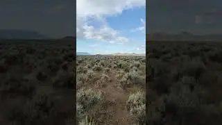Oregon sunstones public collecting