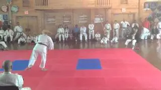 Heian Sandan, Women's Individual Kata | 2014 IKD World Camp tournament