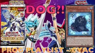 CAT?! | Prog Playlist - CYAC