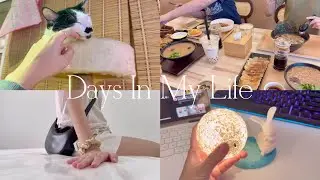 11&12月的生活小碎片🧩｜屋子装修进行中｜趁年尾促销买了好多新家用的物品💸｜忙碌的时候也要好好吃饭🍽️