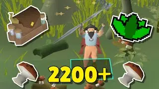 OSRS Mort Myre Fungus Guide - 2200+ в час