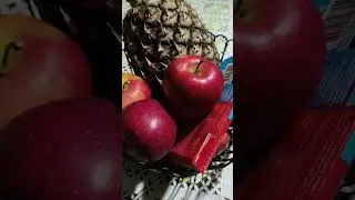 @пЭрсЫканал и ржавый таз. Стервятники. Часть 2. (Продолжение.)