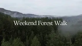 Weekend walk through ancient Scottish forest | The Hermitage