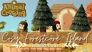 Cosy Forestcore 🍂 Island Tour | Animal Crossing: New Horizons