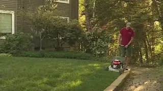 Lawn Love Landscaping