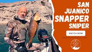Spearing Dogtooth Snapper in San Juanico | SV Ramble On