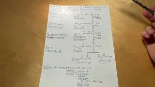 Beta Ossidazione Semplificata | Biochimica
