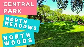 🌿 NYC Live Walking in Central Park New York. Walk through North Woods & North Meadows. Central Park