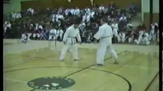 Shintani Wado-kai karate and Shindo