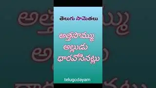 Popular Telugu Samethalu l Samethalu l telugodayam
