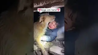 Dog Protects Baby &ndash; Heartwarming Moment! 💖2
