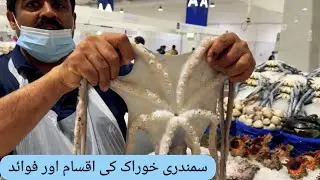 Marine Food Variety and Benefits