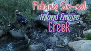 SoCal fishing, Inland empire creek