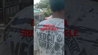 SIBAHUT PANAMPAR