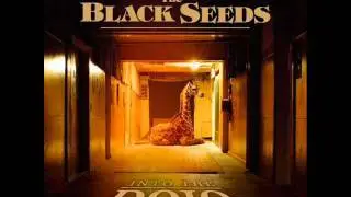 Black Seeds - Good People (get together)