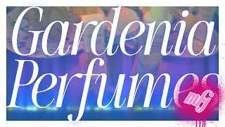 Gardenia Perfumes | Floral Focus | My Fragrance Journey