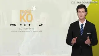 Mold Removal in Alexandria, VA | Mold KO
