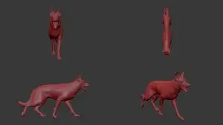 Dog walkcycle