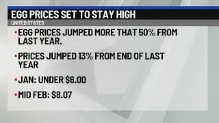 Egg prices set to stay high