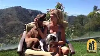 Tamar Geller - Remember Me Thursday