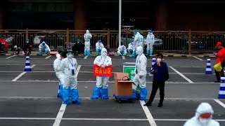 More than 200 new COVID-19 cases recorded in China