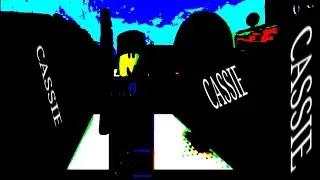 C-cassie... CASSIE!... Recording 2/13