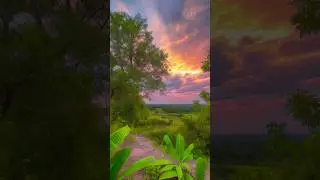 photo leap editing video || best editing video app #tutorial #photoleap #shorts