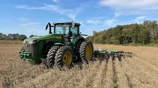 Disking over the soybeans