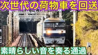 絶景の場所をリズミカルに珍編成？！不評の新車が最後に駆け抜けた