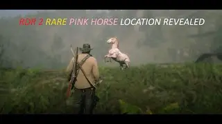 Red Dead Redemption 2 Wild and Rare Pink Horse Location