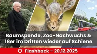 18er Bim im Dritten wieder auf Schiene, Tierischer Nachwuchs & Christbaumspende an Volkshilfe