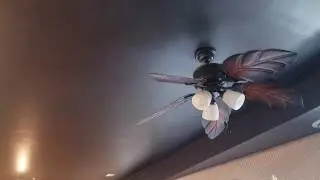 Evergo, Hunter, Unknown Ceiling Fans in a thrift store