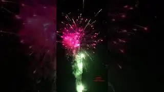 Liuyang Mandarin 1.3g 1.4g Fireworks Pink Peony 49 shots cake fireworks   #fireworks  #pyrotechnics