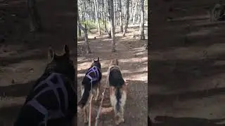 Входим в рабочей режим.