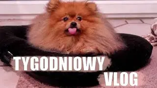 TAK WYGLĄDA PRAWDZIWA VLOGERKA NA ETACIE | VLOG