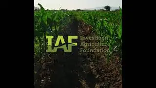 IAF is delivering a new Program: BC Climate Agri-Solutions Fund, and is looking for Agrologists!