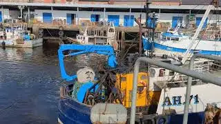 Fishing boats coming in with their catch to North Shields fish quay.