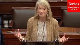 &laquo;Нам нужно действовать&raquo;: Мурковски призывает коллег в Сенате оставаться в Вашингтоне до окончания...