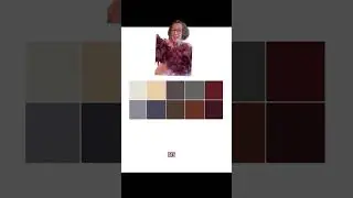 Fun Test Part 2 Neutrals Reveal: Know the Visuals of Colour Analysis Palettes Better Than the Labels