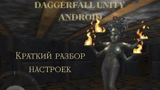 Daggerfall Unity Android. Краткий разбор настроек.