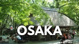 Summer in Japan | Osaka: Dotonbori, Osaka Castle, Nara