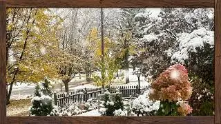 Frame TV Art Screensaver| 🍂Autumn Snow | Turn your tv into Wall Art.❄️